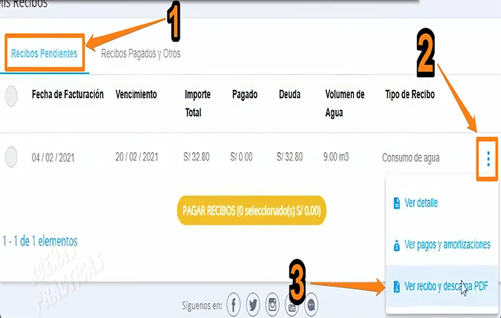 Ver recibo y descargar PDF