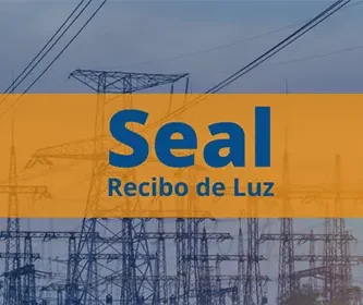 recibo de luz seal